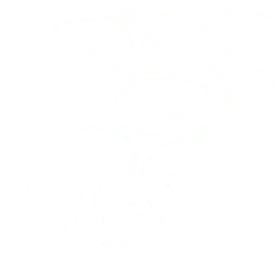Emaar Akvaryum ve Sualtı Hayvanat Bahçesi