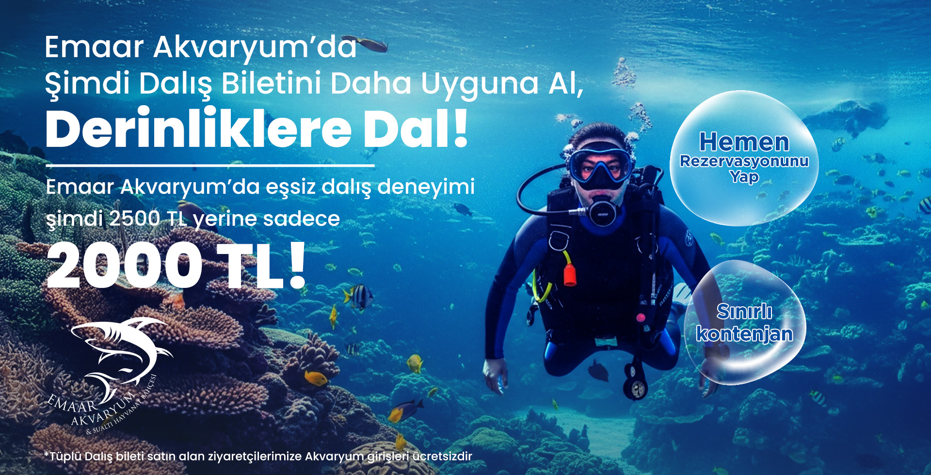 akvaryum tüplü dalış kampanyası