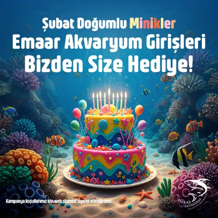 Emaar Akvaryum Şubat Doğum günü kampanya