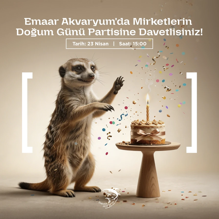 emaar akvaryum 23 Nisan 2026 etkinlikleri