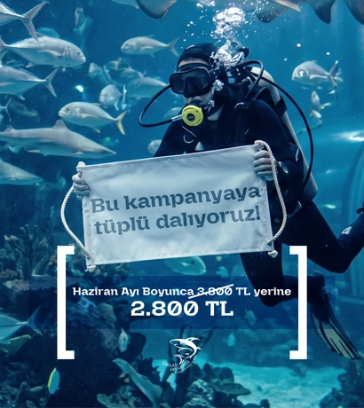 haziran dalış kampanyası