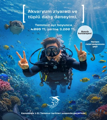 temmuz kampanya tüplü dalış