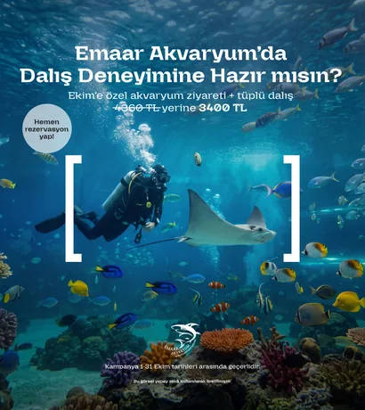 akvaryum dalış ekim kampanyası