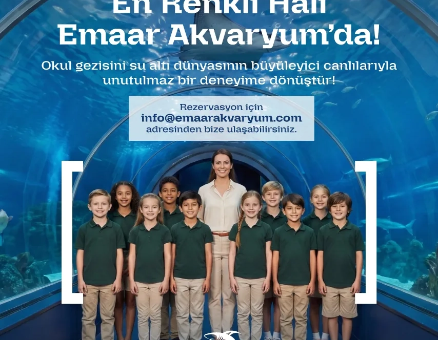 akvaryum okul gezileri